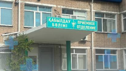 Бірінші қалалық аурухананың жұқпалы аурулар бөлімшесіне қызба, қатты бас ауруы, әлсіздік және шаққан жері ауыртып қызаруы бар әйел келіп түсті.